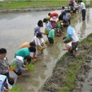 기림초등학교 이미지