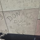 CVS25시 | [LA, 샌프란시스코 여행 기록] #8 DAY5 - 핑크 월, 파머스 마켓, LACMA, 할리우드, 그리피스 천문대