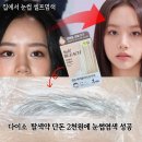 혜리네일 | 숯검댕이 눈썹 염색방법, 방치시간, 탈색꿀팁, 가격(ft.다이소 탈색약) 솔직후기