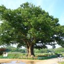 사신리경로당 이미지