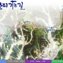 한티가는길 이미지