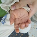 경기도 고양시 일산동구 예방접종 전문 병원 추천 TOP 6곳