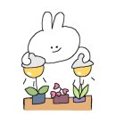 광주청과 이미지