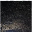 천마태권도장 이미지