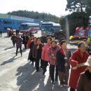 맥섬석지엠 이미지