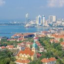 신강농장 이미지