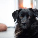 대전한국병원 이미지