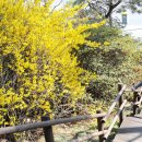 오금공원 이미지