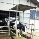 기형목장 이미지