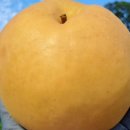 최상배농장 이미지