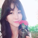 아하브플라워 | [수송동카페] 군산 아하브꽃카페 역시나 예쁜곳!