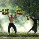 송파농장 이미지