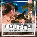 부들공원 게이트볼장 | 서울 근교 애견동반 데이트｜부천 중앙공원 &amp; 옥상 바베큐 멍마르뜨 후기🐶
