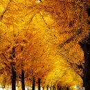 은행자동차(주) 이미지