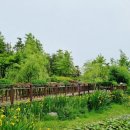 안산-대부-대부-4 이미지