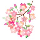 행복구대 이미지