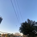 배영초등학교 | 부산 강서구 카페 ‘낭만송백’ 김해공항 근처 카페 내돈내산 후기