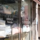 야옹아멍멍해봐 이미지