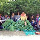 영원면사무소 이미지