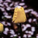 연지공원1 이미지