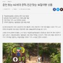 협동조합 강원피스투어 이미지