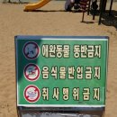 청안근린공원 네이버블로그
