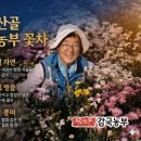 지리산골식품