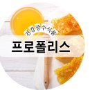 건강장수식품