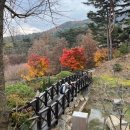 예산-56 | 예산 곱창거리 맛집 곱창인가 주말 주차 아이 메뉴