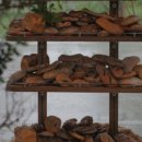 카페이플 - 김포시 봉수대로 1850-63 | 카페이플