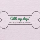 MY DOG(마이도그) 이미지