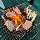 중앙탑펜션 | 충주 중앙탑펜션 바베큐 시설 및 복층 후기