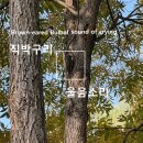 직박구리 울음소리 Brown-eared Bulbul sound of crying 이미지