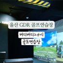 버디버디24시골프연습장 이미지