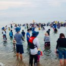 화진해수욕장 이미지