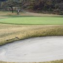 개님살롱 레이크사이드 | 경기 용인 레이크사이드cc 남코스 후기 (11월 라운드, 그린 스피드, 잔디 상태, 그린피 안내)