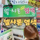 엘샤론 이미지