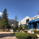 숭산초등학교 티스토리