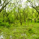 운곡생태습지길 1코스 이미지