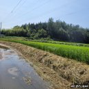 보성읍사무소앞 이미지