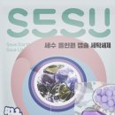 편한세탁 이미지