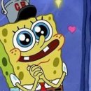 강아지랑고양이 이미지