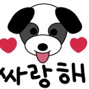 메르시 애견 펜션 이미지