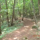 동림리(상동림) 이미지