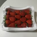 김효정 제빵소