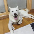 이레야약손 이미지