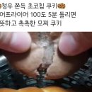 머거바