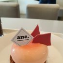 앤크(anc)