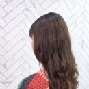 비비드 수헤어 이미지