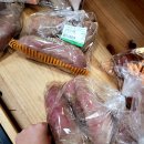 동해한의원 | 동해 가볼만한 곳 농협 하나로마트 방문후기